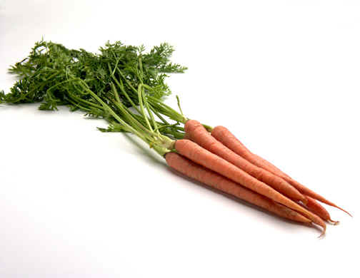picture of carrots