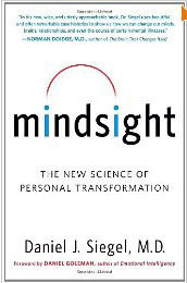 mindsight
